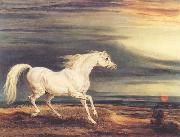 Napoleon's Horse,Marengo at Waterloo James Ward